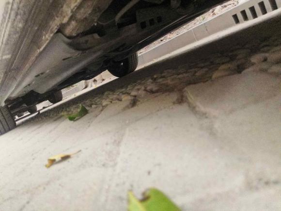 [上海·沪C] 二手大众Polo2016款 1.6L 自动舒适型