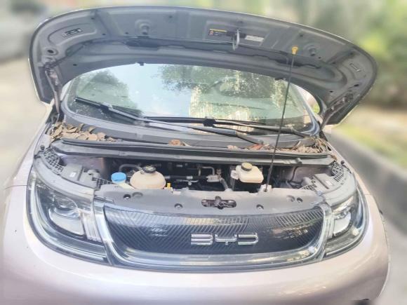 [上海·沪A] 二手比亚迪海豚2021款 405km 时尚版