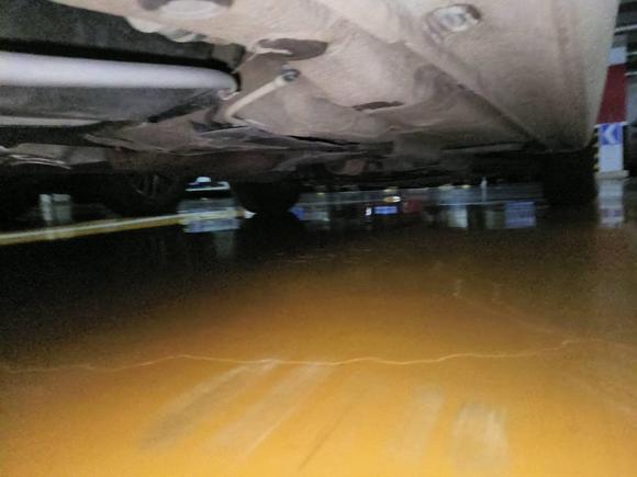 [济南·鲁A] 二手大众桑塔纳2016款 1.6L 自动风尚版