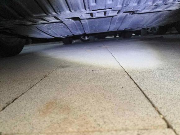 [合肥·皖A] 二手日产轩逸2020款 1.6L XL CVT悦享版