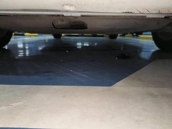 [青岛·鲁B] 二手福特福克斯2013款 两厢经典 1.8L 自动基本型