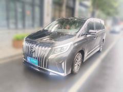 [杭州·浙A] 广汽传祺传祺M82021款 领秀系列 390T 尊享版