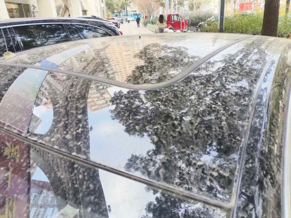 [上海·沪A] 二手比亚迪汉2020款 DM 四驱性能版豪华型