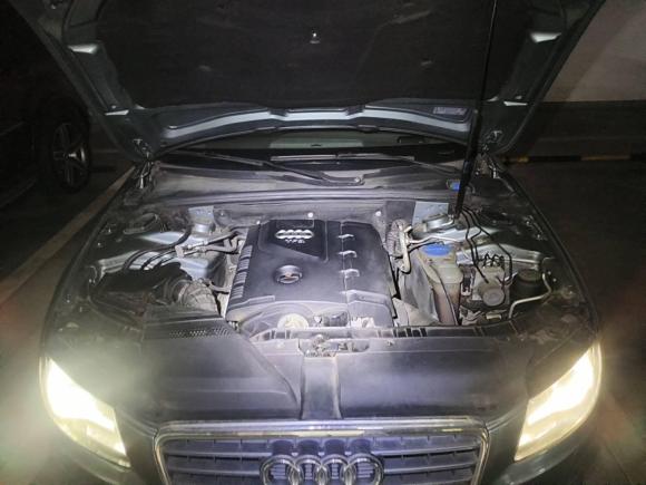 [南昌·粤T] 二手奥迪奥迪A4L2010款 2.0 TFSI 技术型