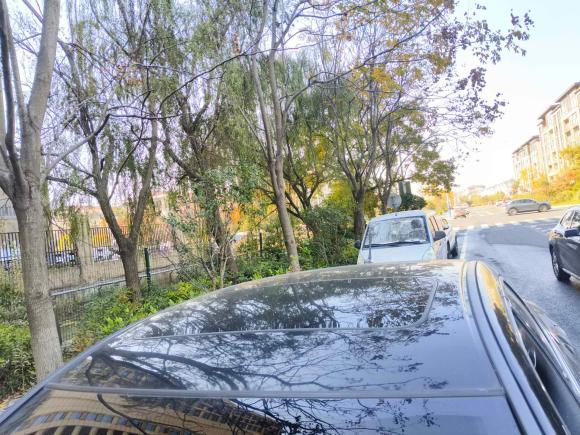 [苏州·苏E] 二手本田歌诗图2012款 2.4L 豪华版