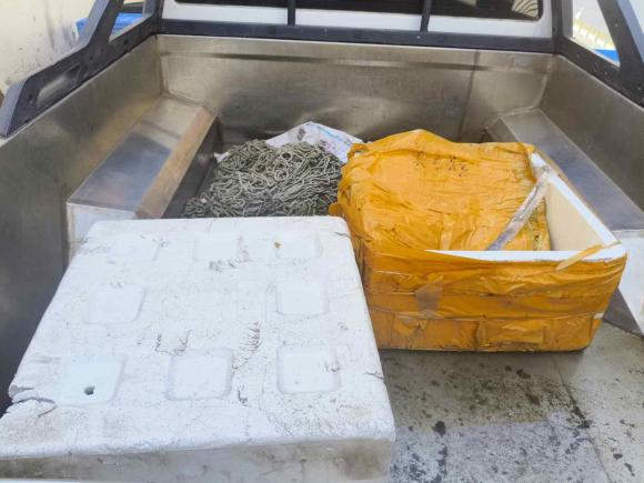 [济南·鲁A] 二手五十铃瑞迈2018款 2.5T两驱柴油豪华款加长货厢JE4D25Q5A