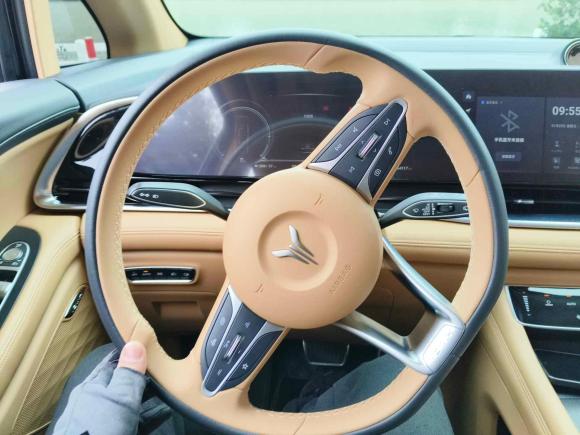 [上海·沪A] 二手岚图汽车岚图梦想家2022款 0碳版 想+智驾续航包 605km