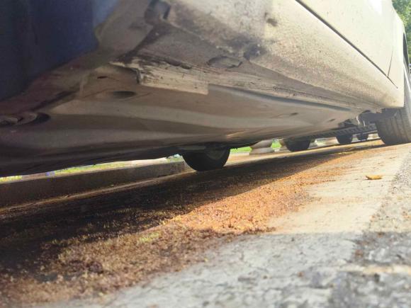 [温州·浙C] 二手大众凌渡2017款 230TSI DSG风尚版