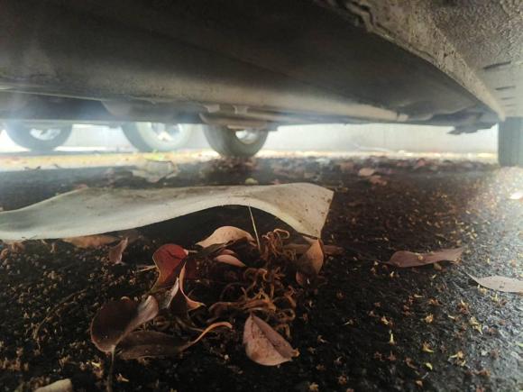 [义乌·浙G] 二手现代瑞纳2016款 1.4L 自动智能型GLS