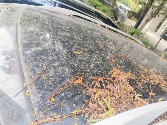 [广州·粤A] 二手起亚智跑2011款 2.4L 自动四驱版Premium