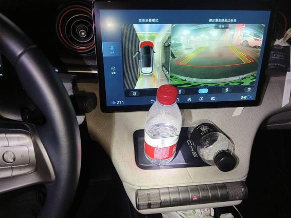 [杭州·浙A] 二手比亚迪海豚2021款 405km 时尚版