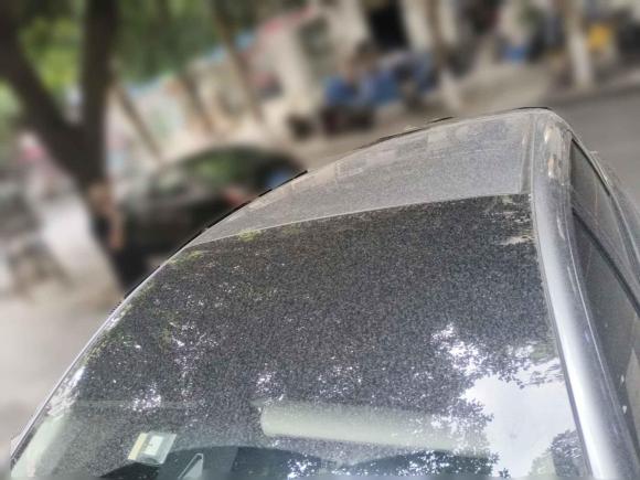 [成都·川A] 二手小鹏小鹏G32020款 520 智享版