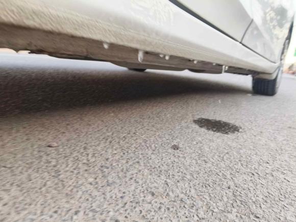 [青岛·鲁B] 二手本田锋范2015款 1.5L 手动舒适版