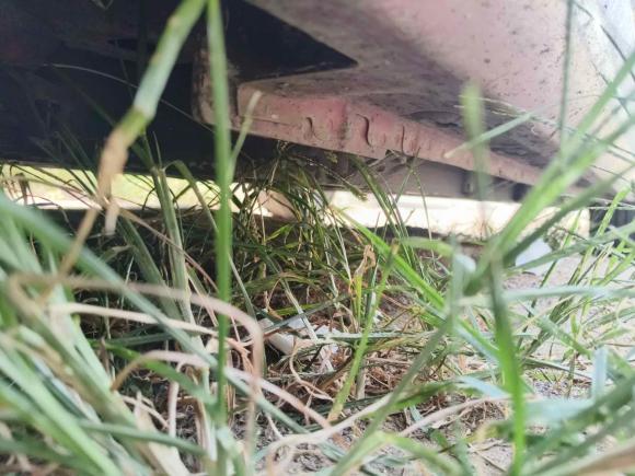 [青岛·鲁B] 二手零跑汽车零跑S012019款 380 Pro