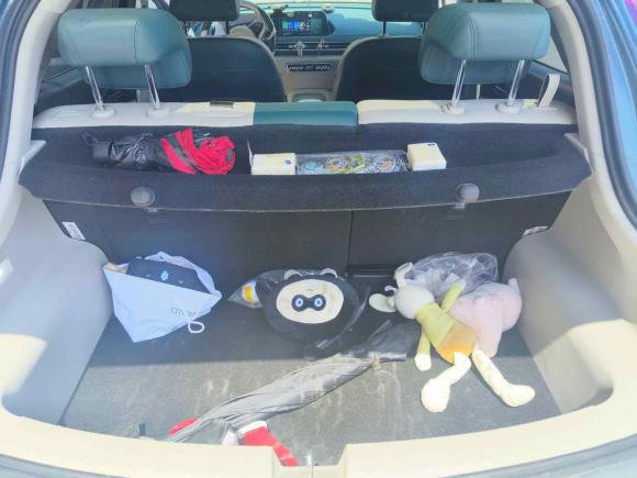 [义乌·浙G] 二手欧拉欧拉好猫2022款 400km标准续航 尊贵型 磷酸铁锂