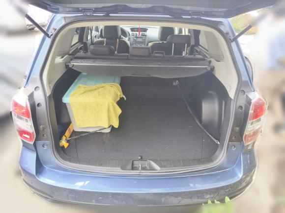 [上海·沪A] 二手斯巴鲁森林人2013款 2.5i 自动豪华版