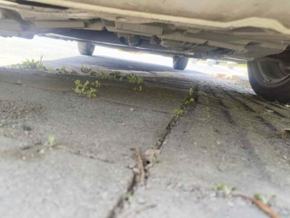 [杭州·浙D] 二手日产轩逸2012款 经典 1.6XE 自动舒适版