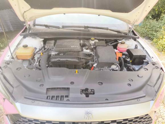 [佛山·粤B] 二手比亚迪秦PLUS2021款 DM-i 55KM 旗舰型