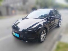 [上海·沪A] 特斯拉Model Y2021款 标准续航后驱版