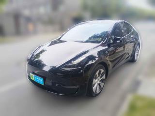 特斯拉Model Y2021款 标准续航后驱版