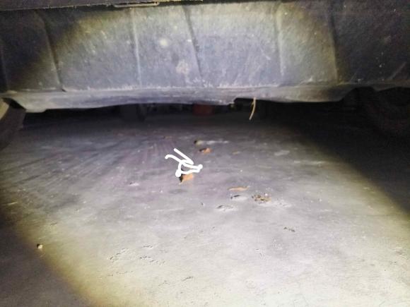 [广州·粤A] 二手大众途观2016款 300TSI 自动两驱风尚版