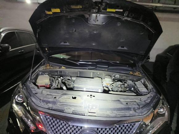 [上海·沪M] 二手比亚迪唐新能源2015款 2.0T 四驱旗舰型