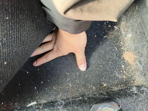 [嘉兴·浙F] 二手丰田卡罗拉2017款 改款双擎 1.8L E-CVT精英版