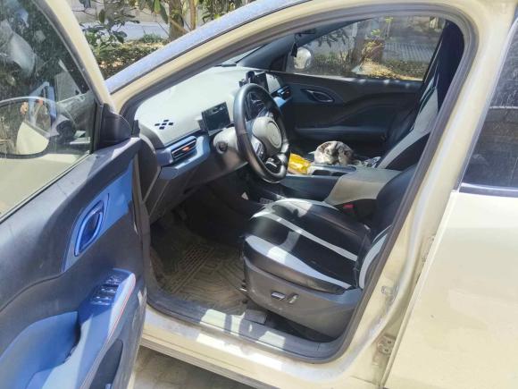 [南通·苏F] 二手比亚迪海鸥2023款 飞翔版