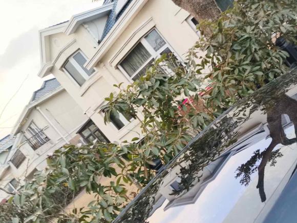 [上海·沪A] 二手极氪极氪X2023款 后驱YOU版 4座