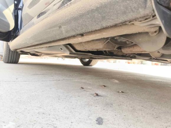 [合肥·皖A] 二手斯柯达明锐2015款 1.6L 自动逸杰版