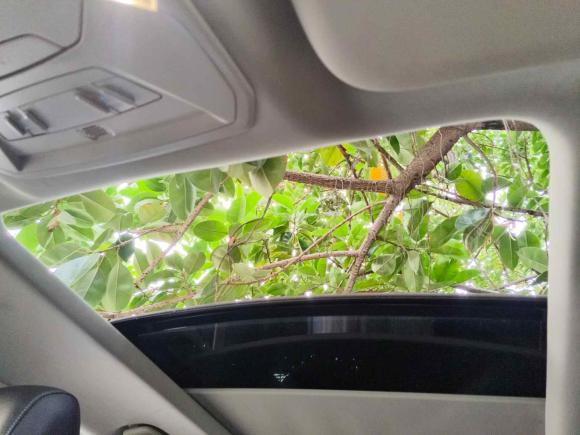 [佛山·湘D] 二手福特翼虎2019款 EcoBoost 180 两驱铂翼型 国VI