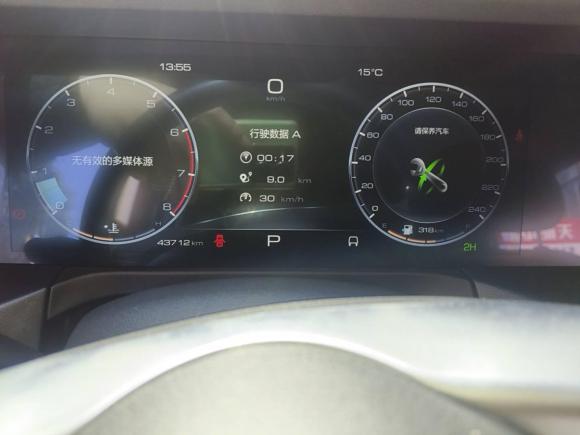 [上海·沪E] 二手坦克坦克3002021款 越野版 2.0T 征服者