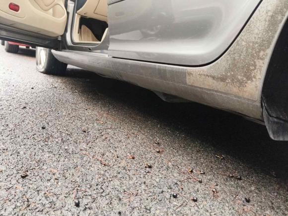 [上海·苏J] 二手斯柯达明锐2014款 1.6L 自动逸俊版