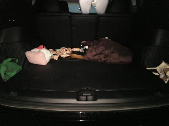 [宁波·浙B] 二手特斯拉Model Y2021款 标准续航后驱版