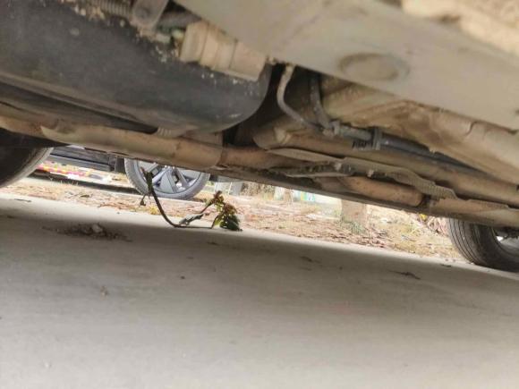 [嘉兴·浙F] 二手宝沃宝沃BX52020款 20TGDI 自动两驱先锋型