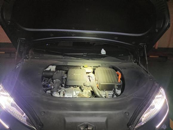 [广州·粤A] 二手比亚迪海豹2023款 DM-i 1.5T 121km 尊荣型