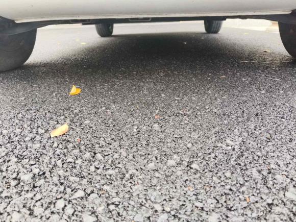 [杭州·浙A] 二手吉利汽车熊猫2023款 熊猫mini 200km 耐力熊