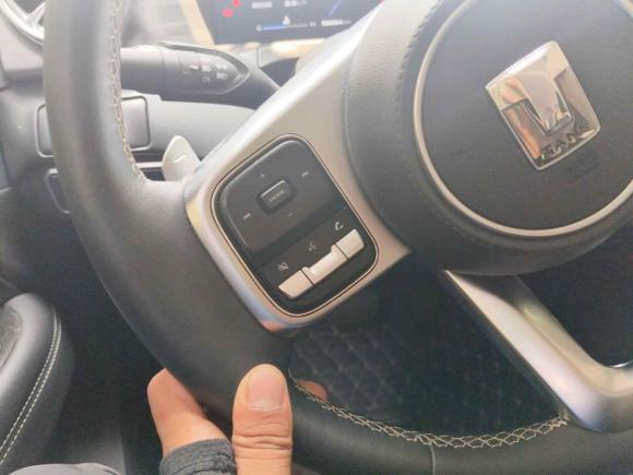 [杭州·琼A] 二手坦克坦克3002021款 城市版 2.0T 必须型