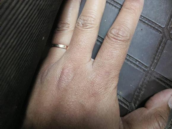 [合肥·皖B] 二手本田英仕派2019款 260TURBO 精致版 国VI