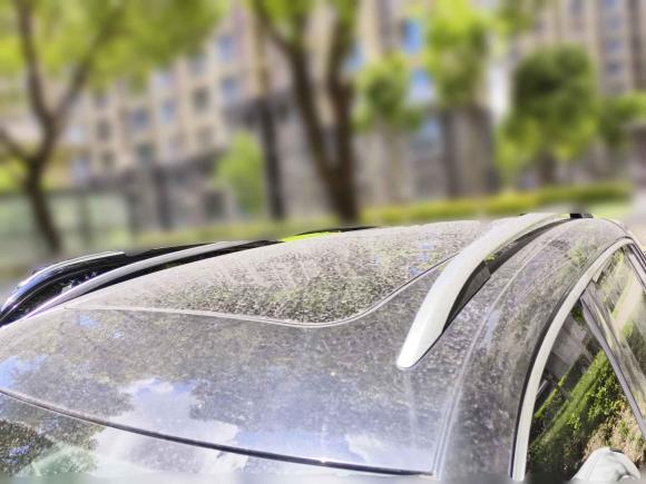 [上海·沪C] 二手大众途观2016款 300TSI 自动两驱豪华版