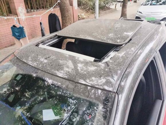 [上海·沪B] 二手丰田奕泽IZOA2020款 2.0L 奕驰版