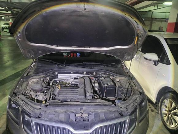 [苏州·苏E] 二手斯柯达明锐2018款 TSI280 DSG旗舰版