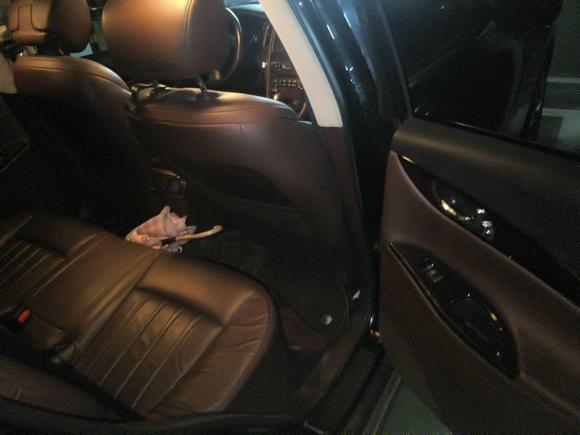 [南京·苏A] 二手英菲尼迪英菲尼迪EX2010款 EX25 尊雅版