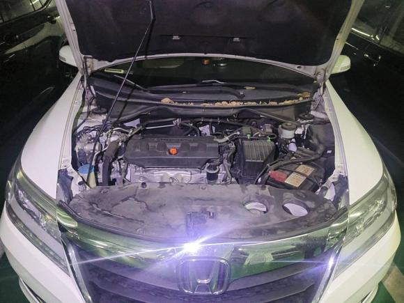 [深圳·粤B] 二手本田凌派2016款 1.8L CVT豪华版