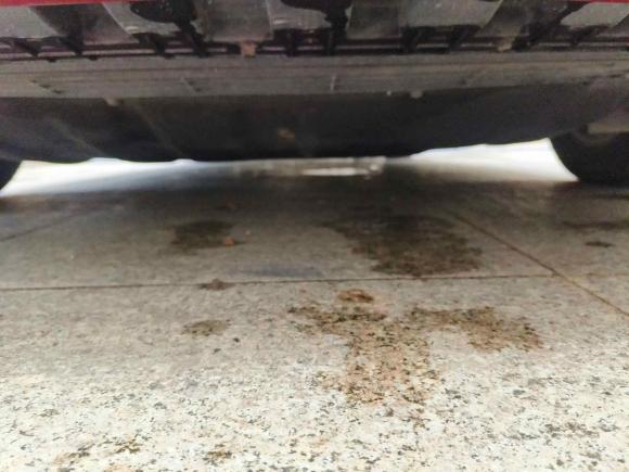 [上海·沪C] 二手福特福克斯2019款 两厢 EcoBoost 180 自动锋潮型