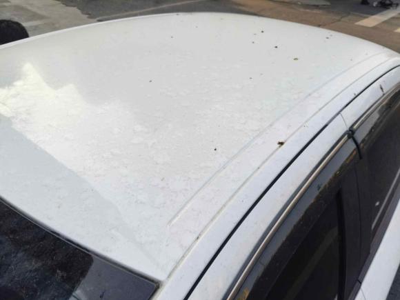 [成都·川A] 二手雪铁龙爱丽舍2014款 1.6L 手动时尚型CNG