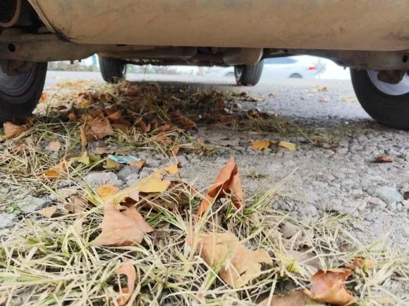 [青岛·鲁B] 二手长安长安CS85 COUPE2019款 1.5T DCT型版 国VI