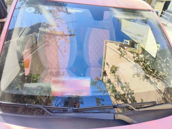 [上海·沪A] 二手五菱汽车宏光MINIEV2020款 悦享款 磷酸铁锂