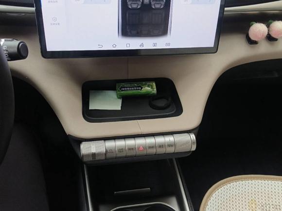 [上海·沪A] 二手比亚迪海豚2023款 420km 时尚版