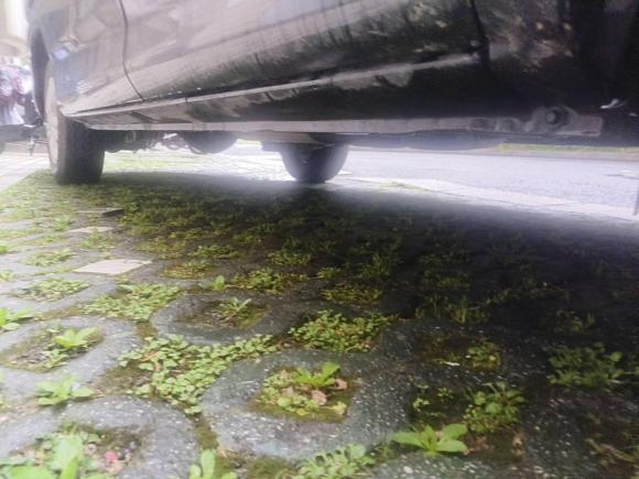 [苏州·苏U] 二手东风风行菱智2022款 奋斗款 M5L 1.6L 基本型 9座